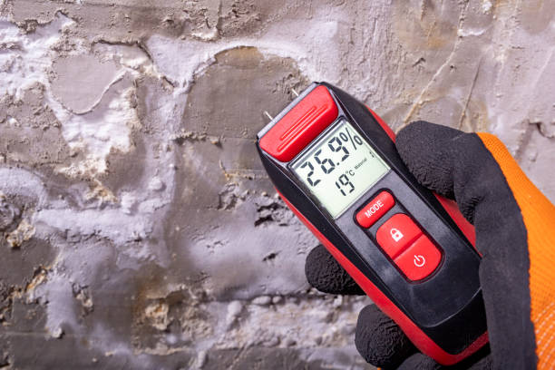 Best Kitchen Mold Remediation in Helena, OK