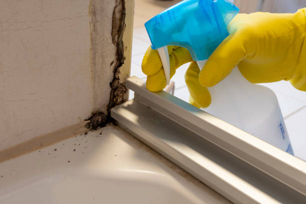 Best Post-Remediation Services in Helena, OK