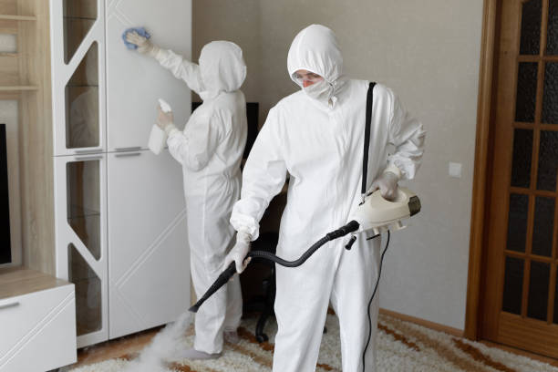 Best HVAC Mold Remediation in Helena, OK