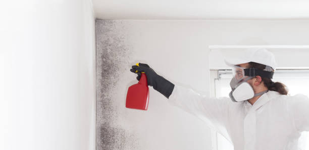 Best Industrial Mold Remediation in Helena, OK