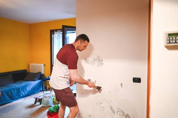 Best Insurance-Related Mold Remediation in Helena, OK
