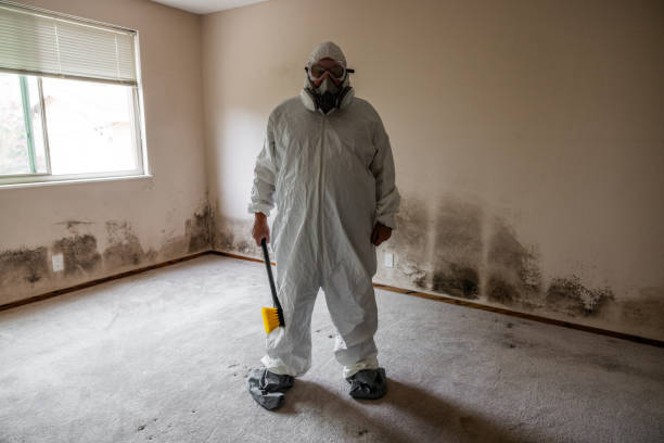 Helena, OK Mold Remediation Company